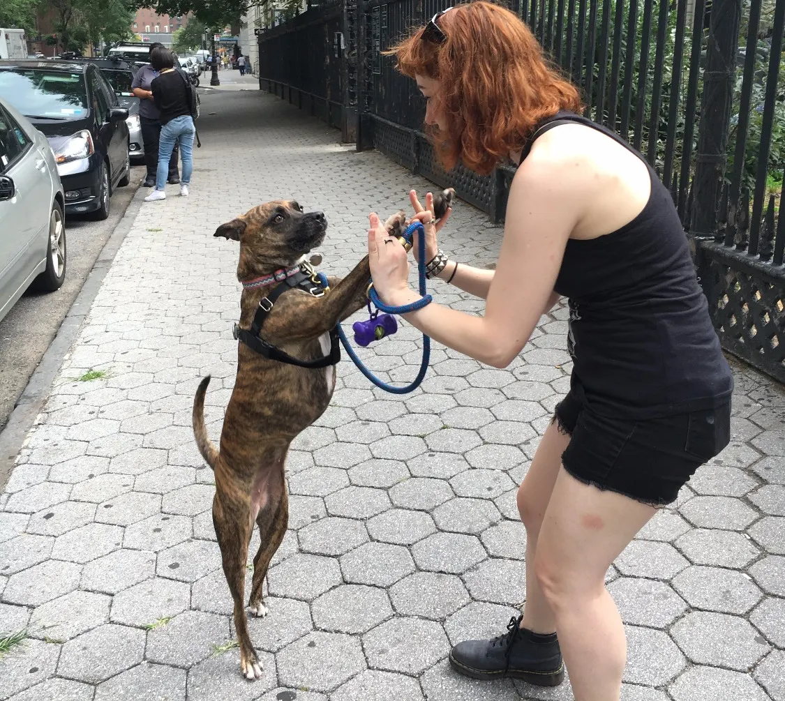 Helen and Harper — a FurKid and their walker