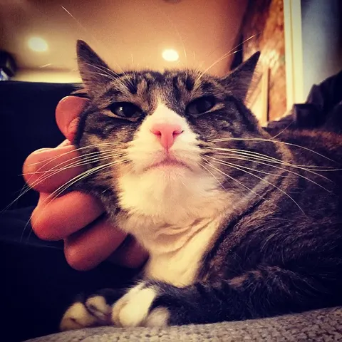 Bobby