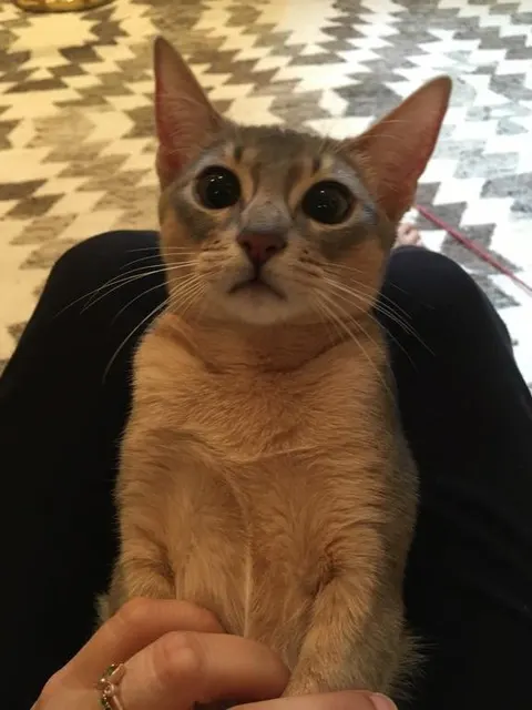 Louise